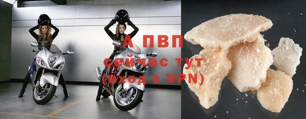 мдпв Галич