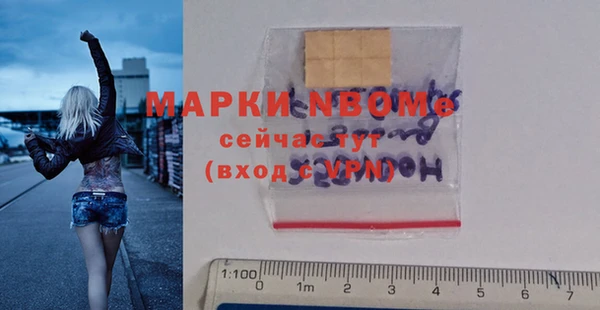 индика Медногорск