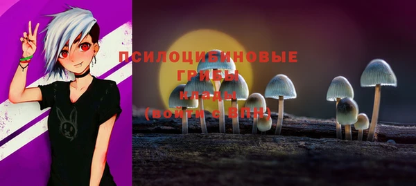 МДМА Протвино