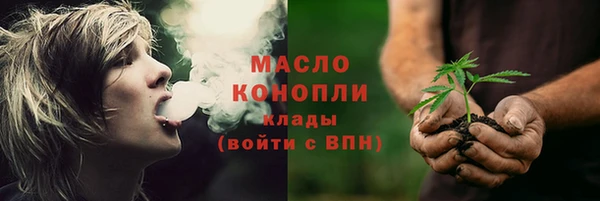 трава Гатчина