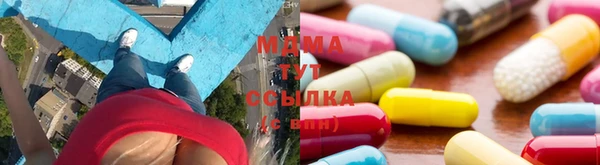 трава Гатчина