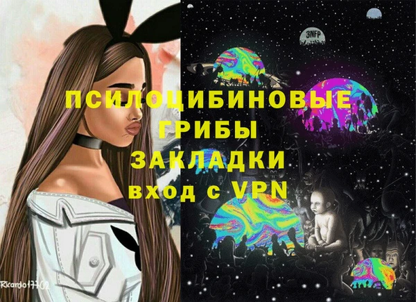 мдпв Галич