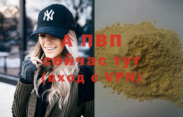мдпв Галич
