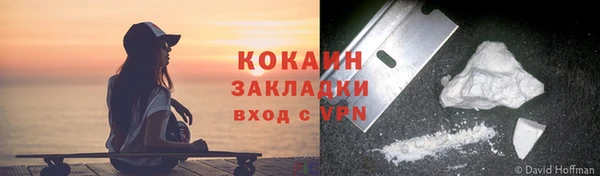 трава Гатчина