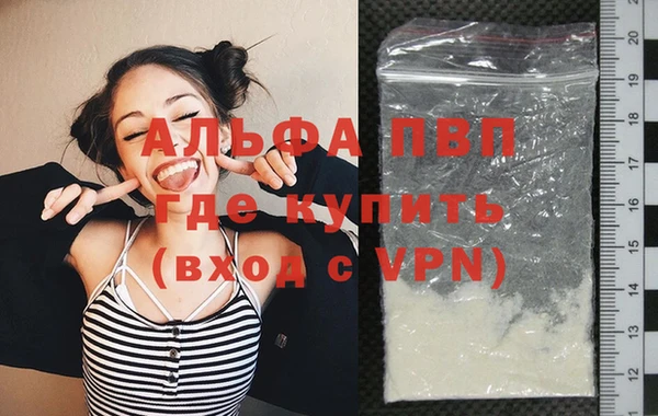 трава Гатчина