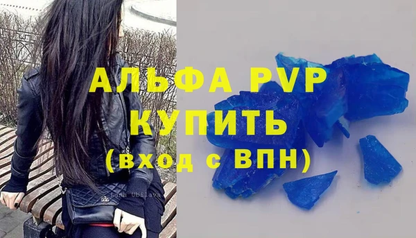 индика Медногорск