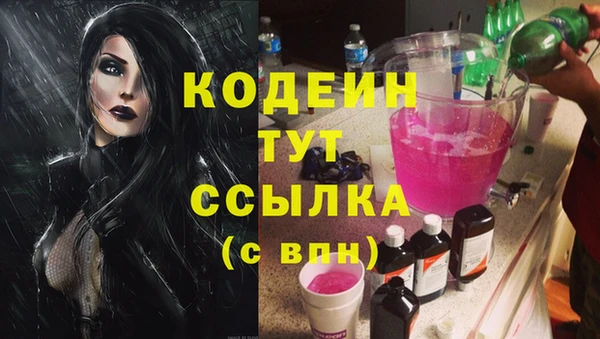 мдпв Галич
