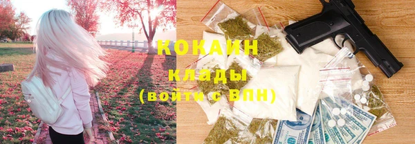трава Гатчина