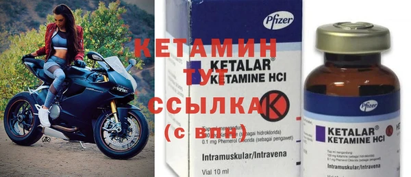 трава Гатчина