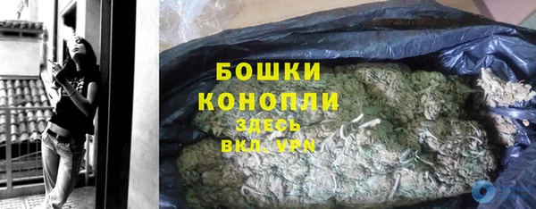 мдпв Галич
