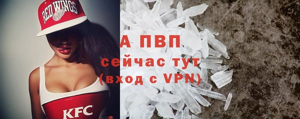 трава Гатчина