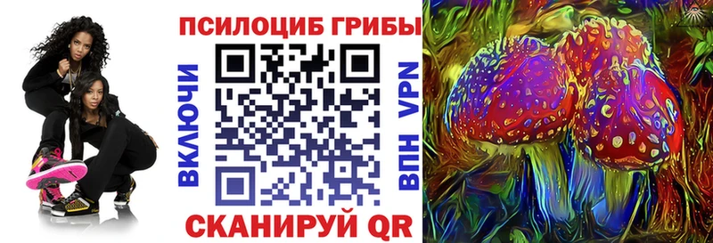 Галлюциногенные грибы мицелий  ОМГ ОМГ ТОР  Лыткарино 