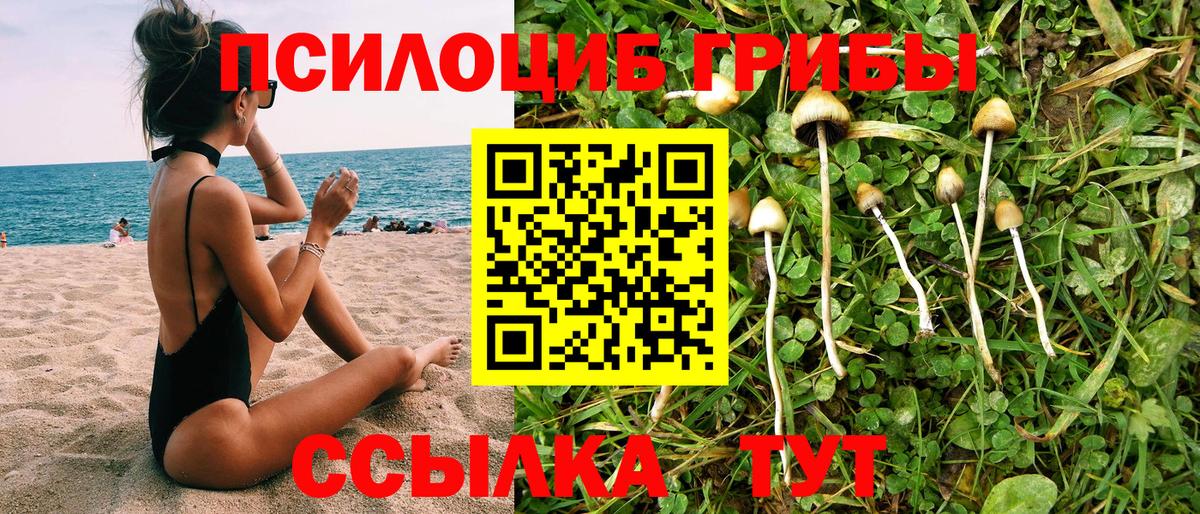 Псилоцибиновые грибы мицелий  Псилоцибиновые грибы Cubensis  Вход с VPN  Лыткарино 