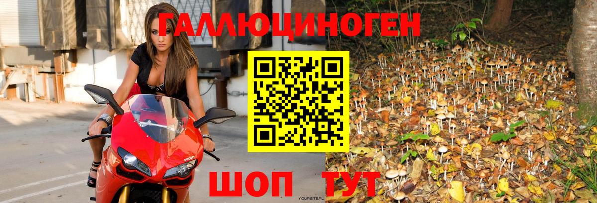 Галлюциногенные грибы GOLDEN TEACHER Лыткарино