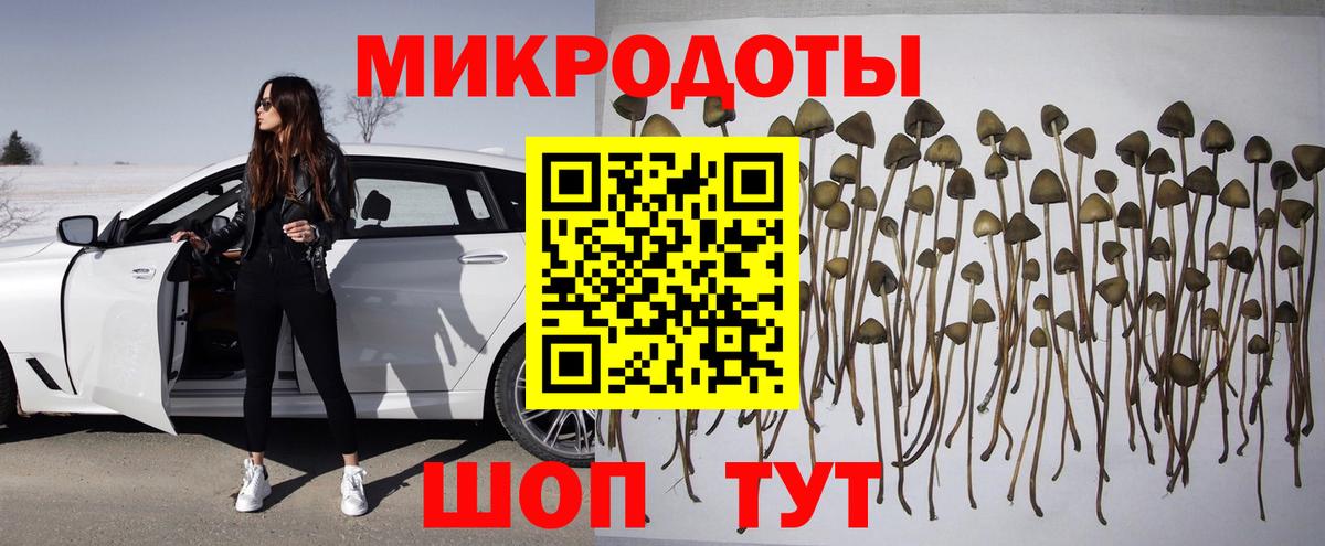 Галлюциногенные грибы Magic Shrooms Лыткарино