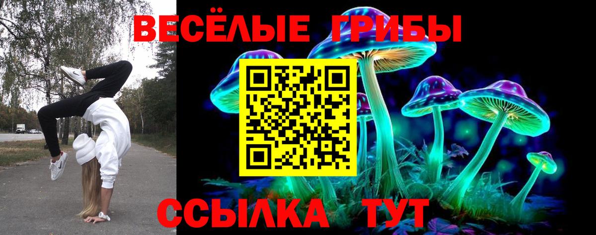 Псилоцибиновые грибы Psilocybe  где найти наркотики  Псилоцибиновые грибы ЛСД  Лыткарино 